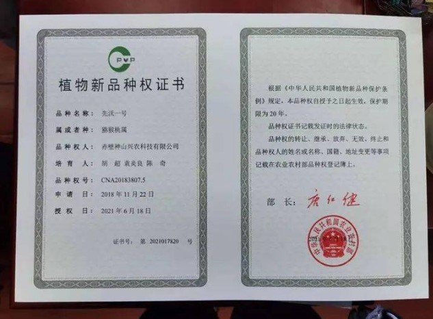 植物新品种证书