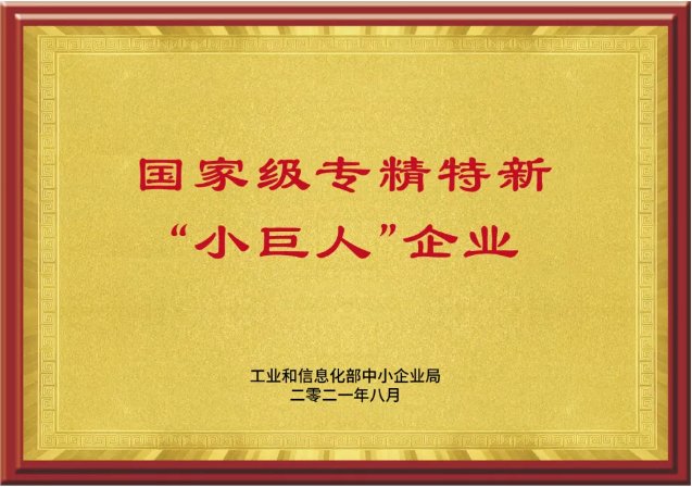 国家级专精特新小巨人