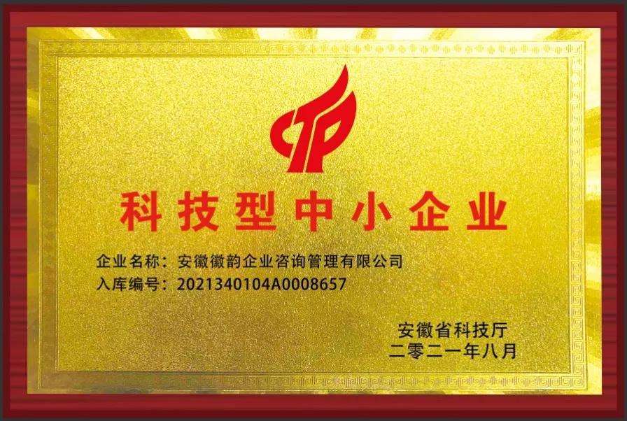 国家科技型中小企业评价