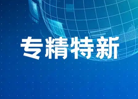 专精特新系列申报